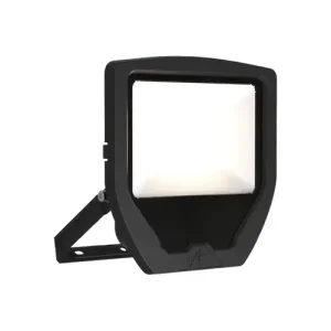 Calinor EVO Floodlight Cool White 50W